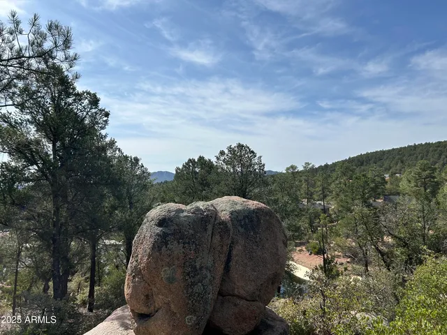 a view of a yard in a field