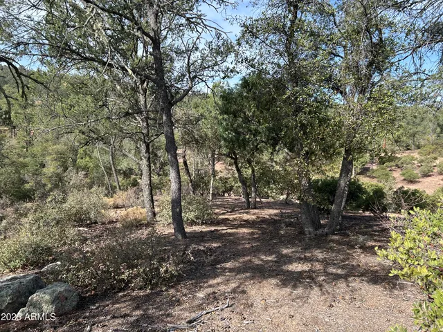 a view of a yard with large trees