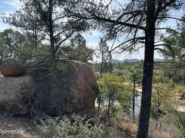 a view of outdoor space and tree