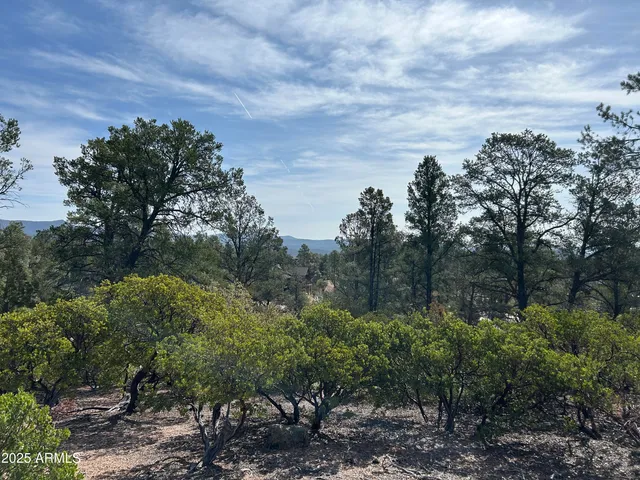 a view of a bunch of trees