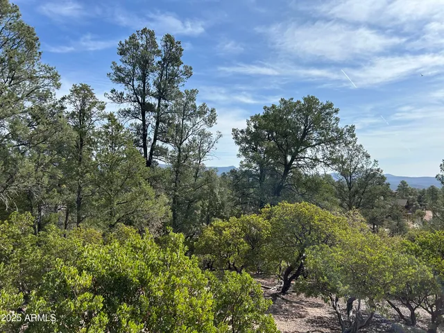 a view of a lot of trees and bushes