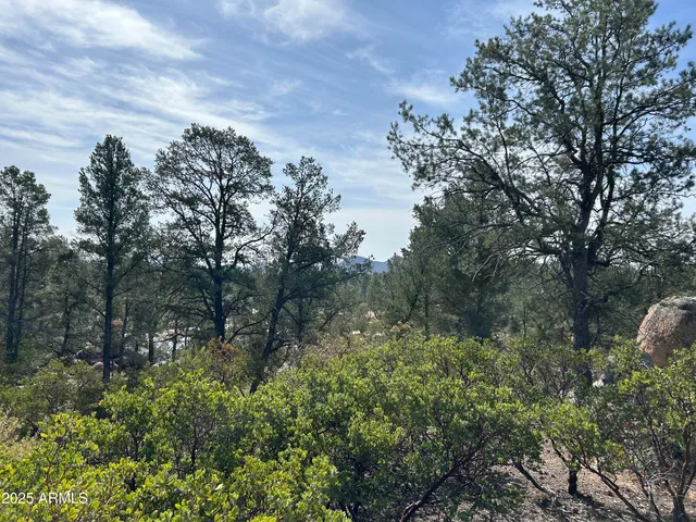 a view of a house with a lush green forest
