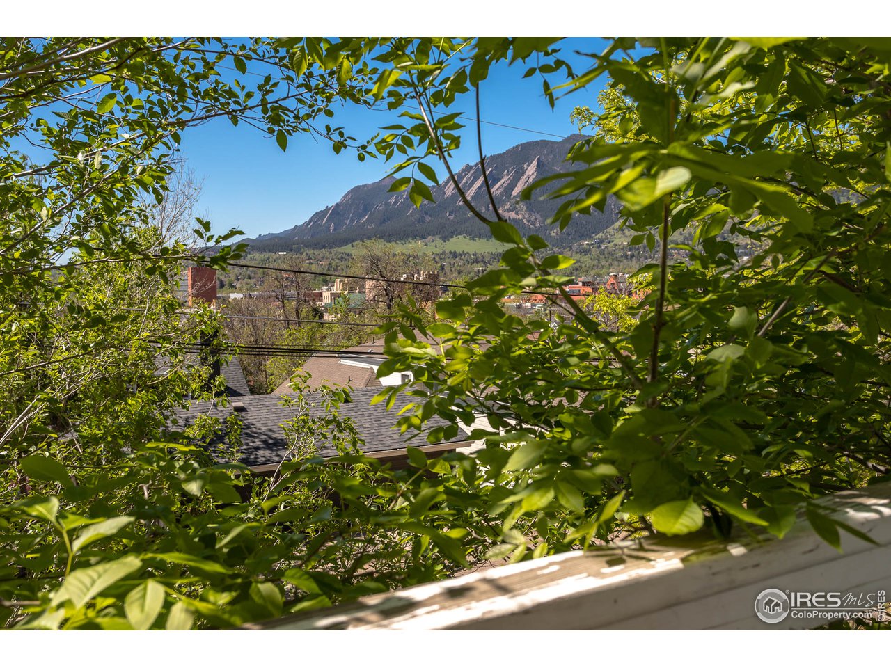 1450 High Street Boulder, CO 80304 - Photo 25 of 25 a view of a tree with a yard