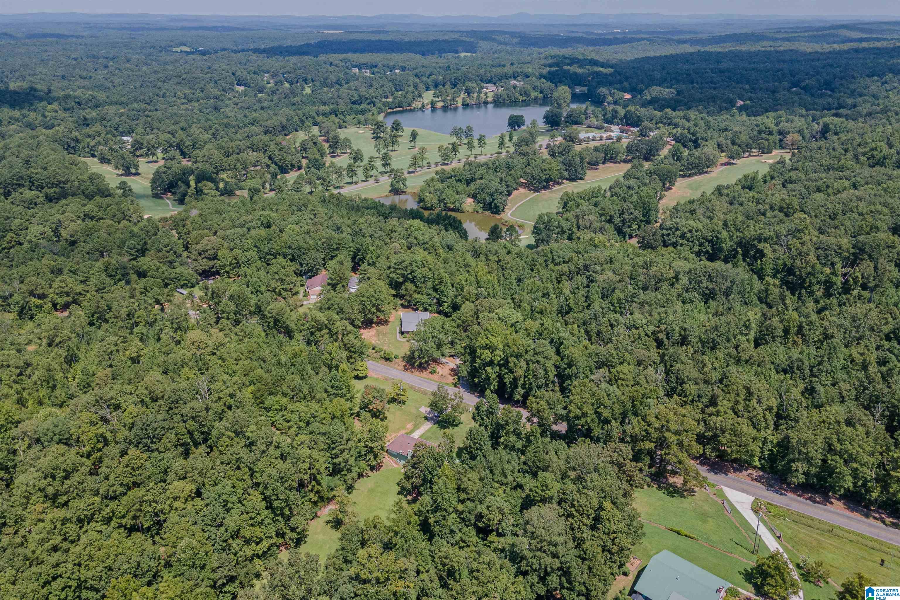 8898 Marsh Mountain Road Pinson, AL 35126 - Photo 27 of 28