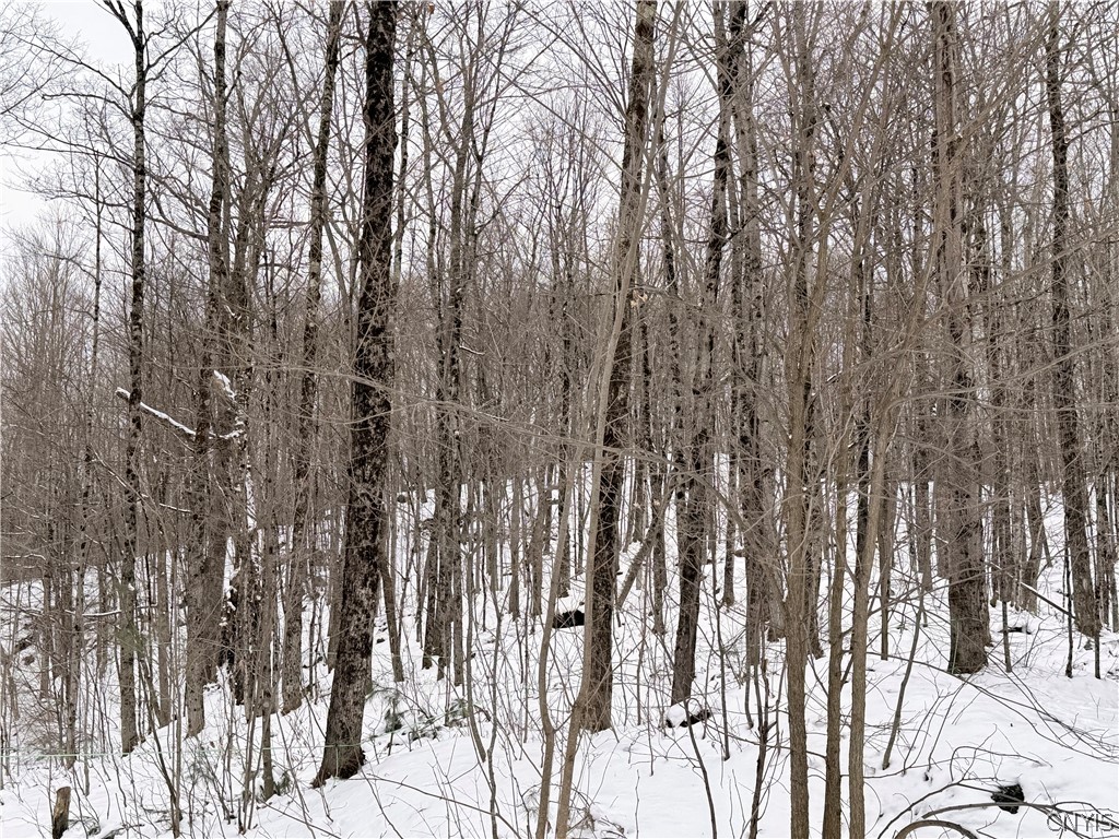 9689 Erie Canal Road Croghan, NY 13327 - Photo 5 of 50