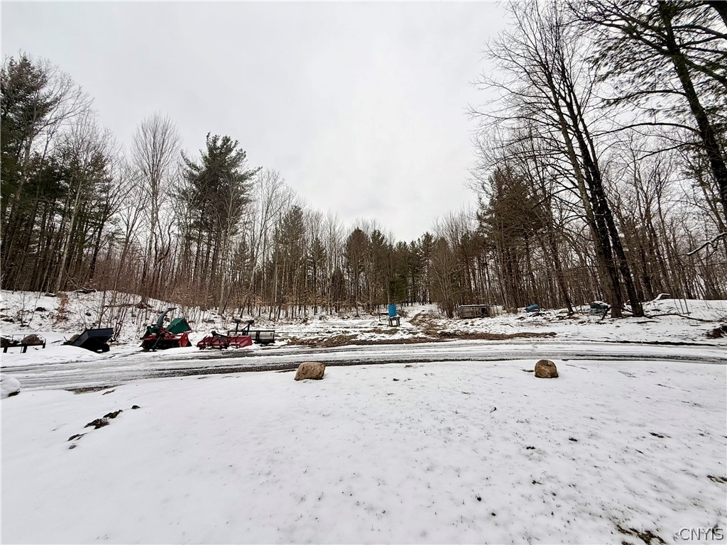 9689 Erie Canal Road Croghan, NY 13327 - Photo 10 of 50