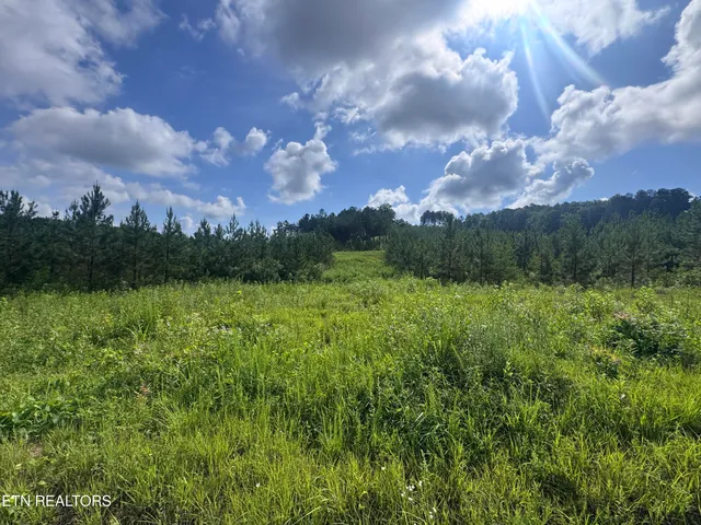 $103,000 | Lot 41 Three Point Road, Vonore, TN 37885