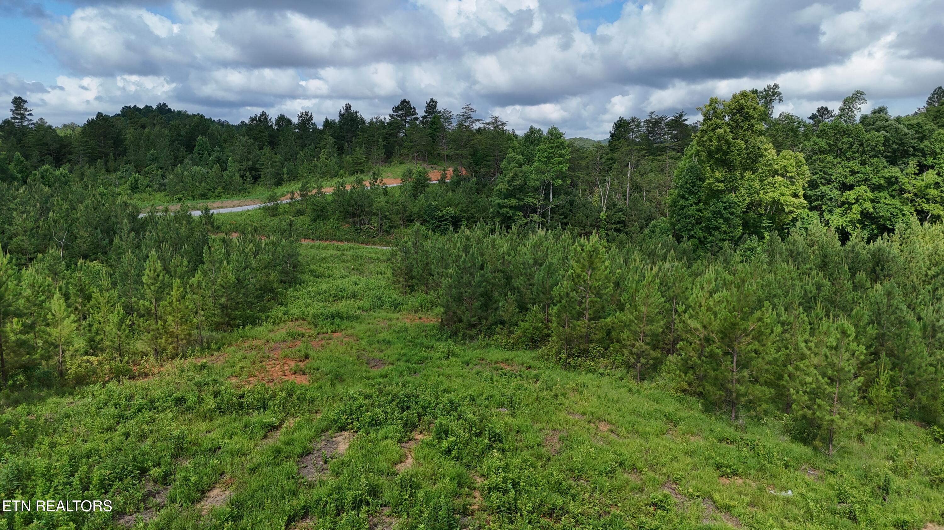 Lot 41 Three Point Road Vonore, TN 37885 - Photo 11 of 35 dji_fly_20250620_100434_0601_17504456719