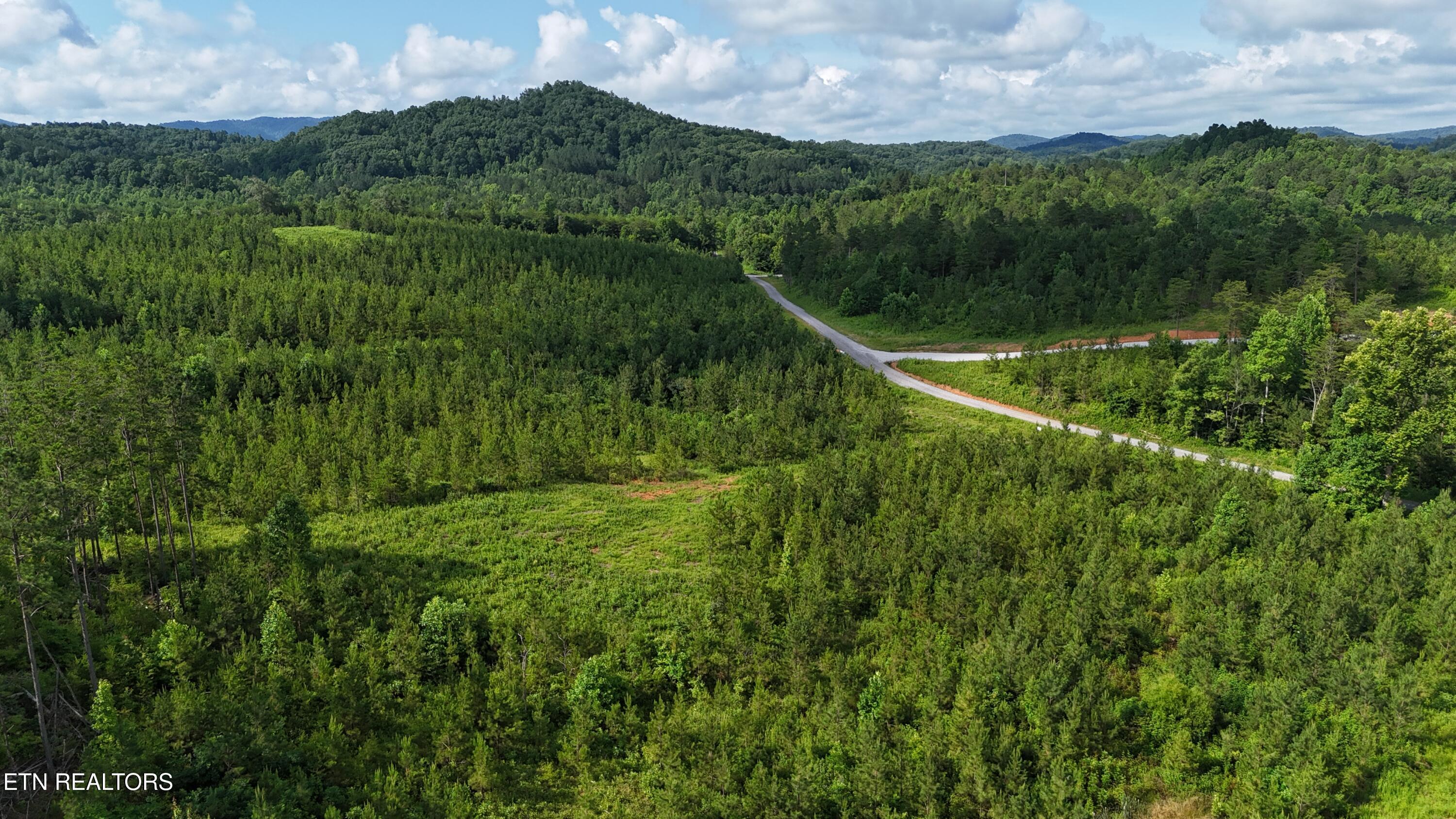 Lot 41 Three Point Road Vonore, TN 37885 - Photo 15 of 35 dji_fly_20250620_100302_0594_17504456743