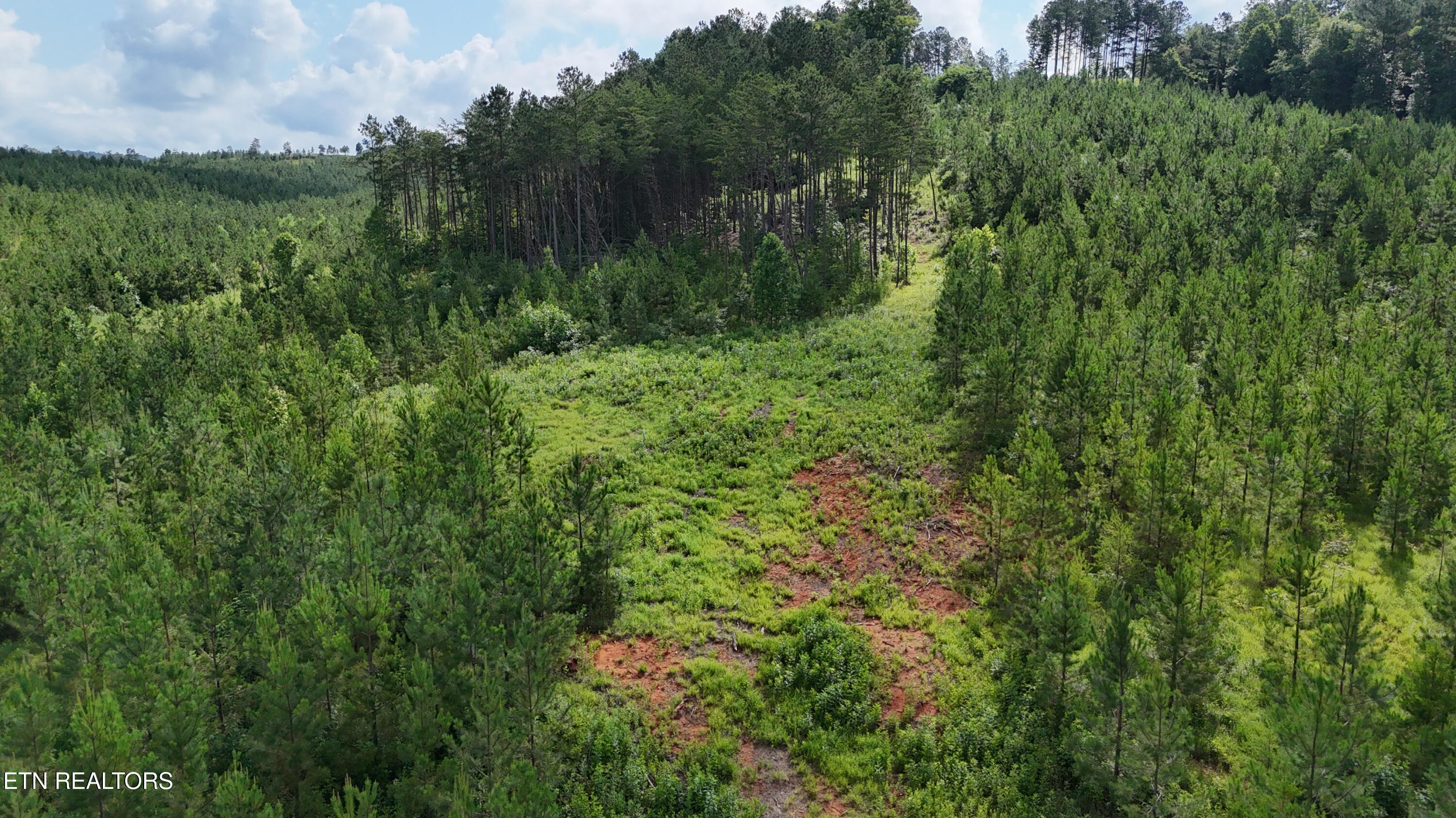 Lot 41 Three Point Road Vonore, TN 37885 - Photo 20 of 35 dji_fly_20250620_100504_0603_17504456712