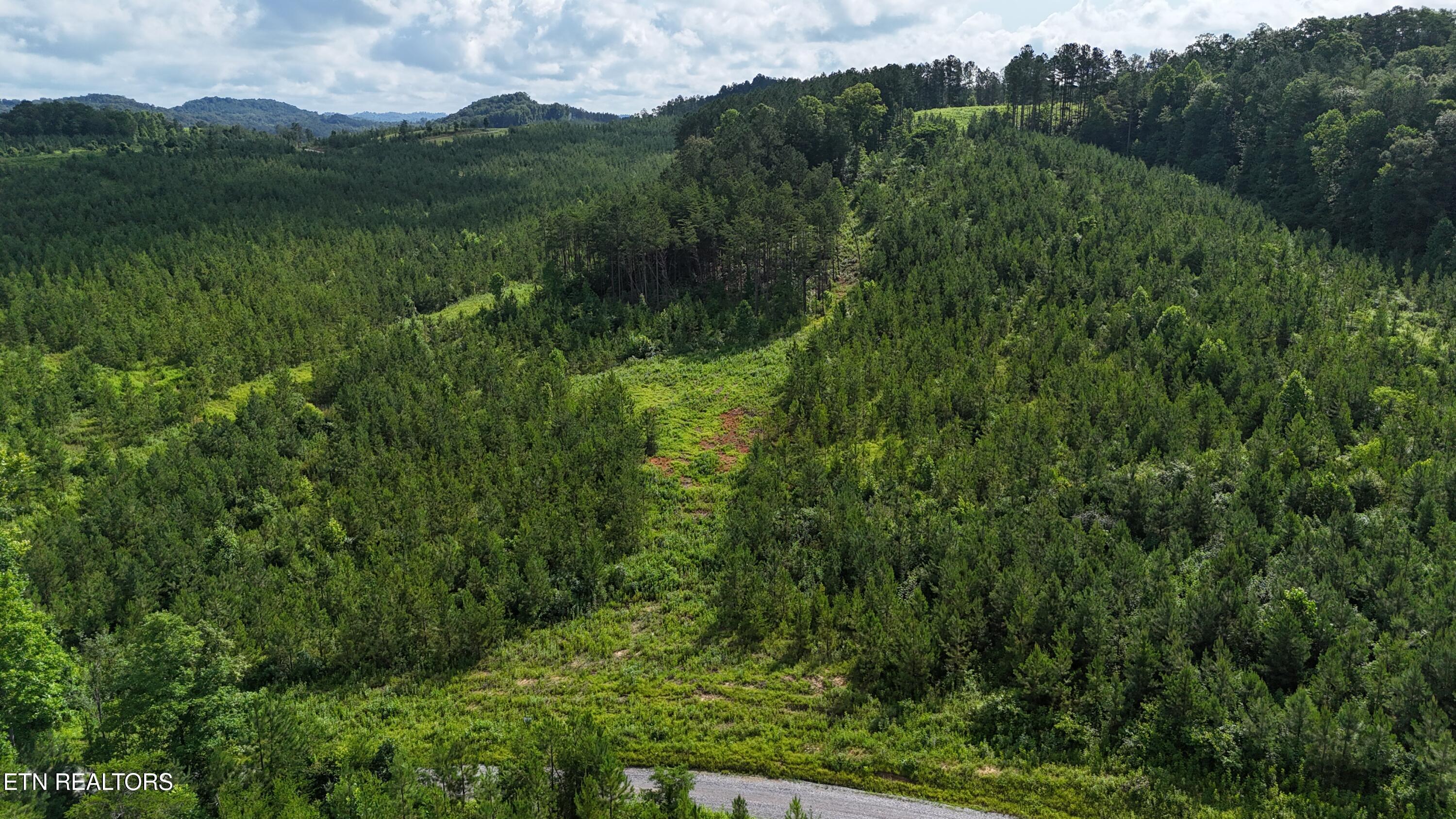 Lot 41 Three Point Road Vonore, TN 37885 - Photo 21 of 35 dji_fly_20250620_100210_0591_17504456754