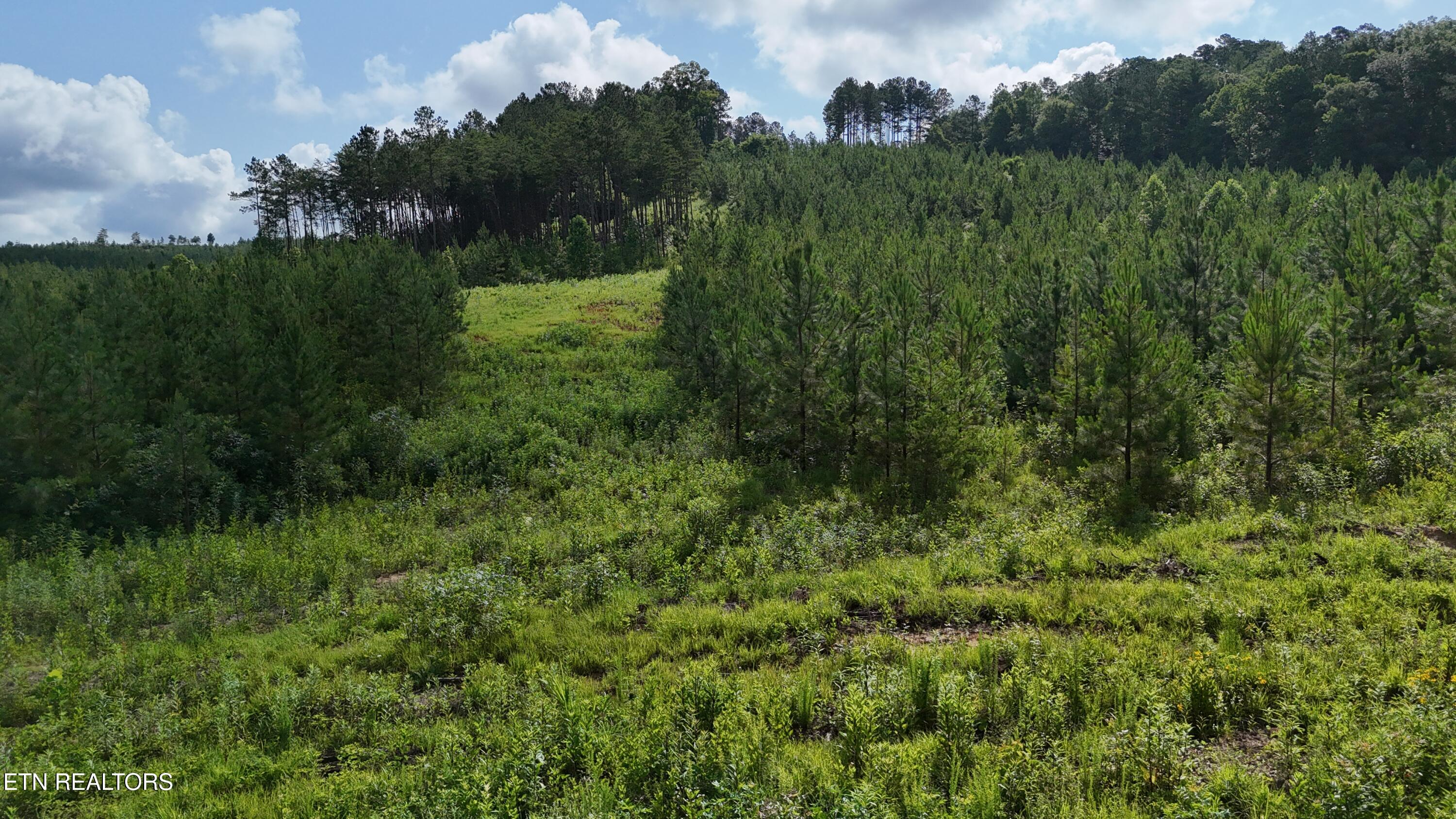 Lot 41 Three Point Road Vonore, TN 37885 - Photo 22 of 35 dji_fly_20250620_100022_0585_17504456779