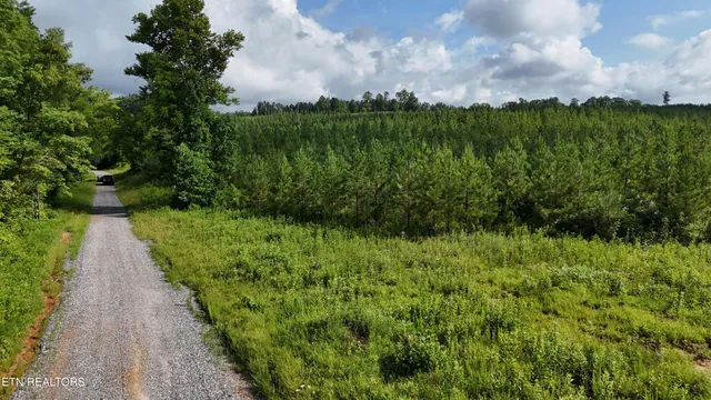 $103,000 | Lot 41 Three Point Road, Vonore, TN 37885