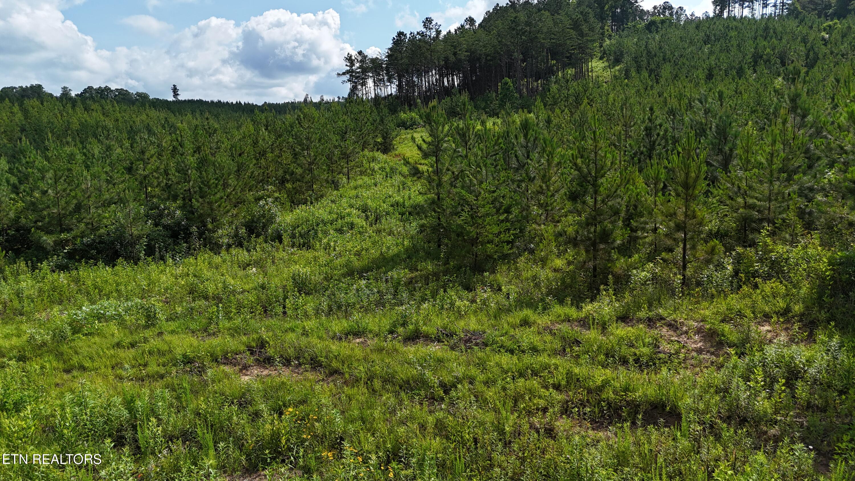 Lot 41 Three Point Road Vonore, TN 37885 - Photo 28 of 35 dji_fly_20250620_100056_0588_17504456767