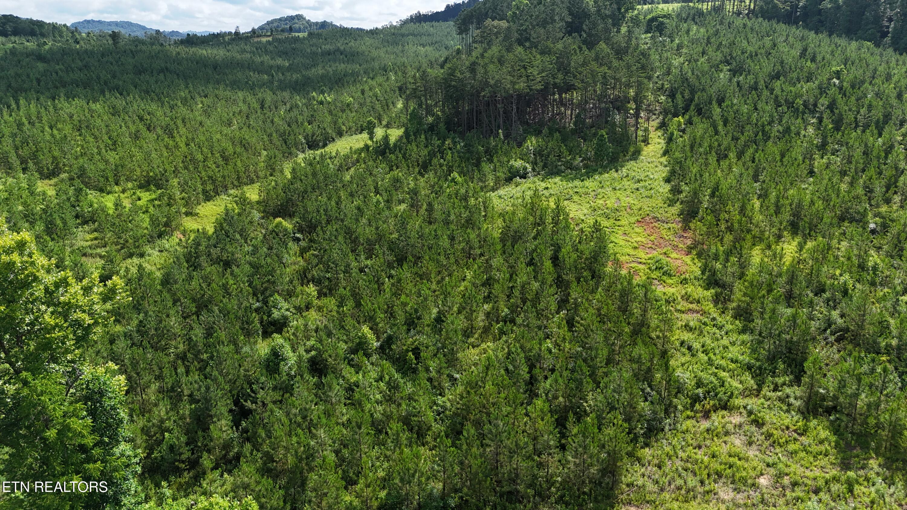 Lot 41 Three Point Road Vonore, TN 37885 - Photo 29 of 35 dji_fly_20250620_100236_0593_17504456747