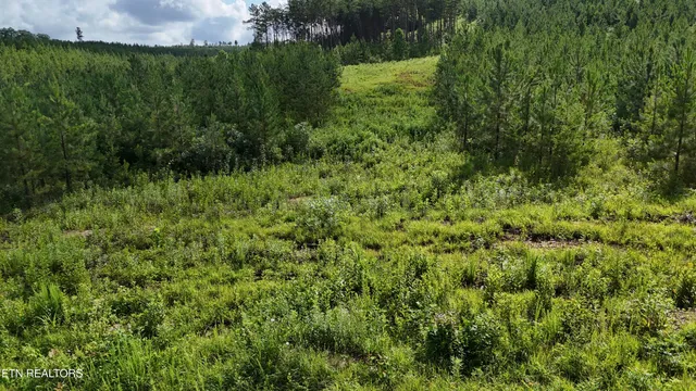 $103,000 | Lot 41 Three Point Road, Vonore, TN 37885