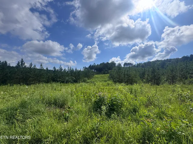 $103,000 | Lot 41 Three Point Road, Vonore, TN 37885