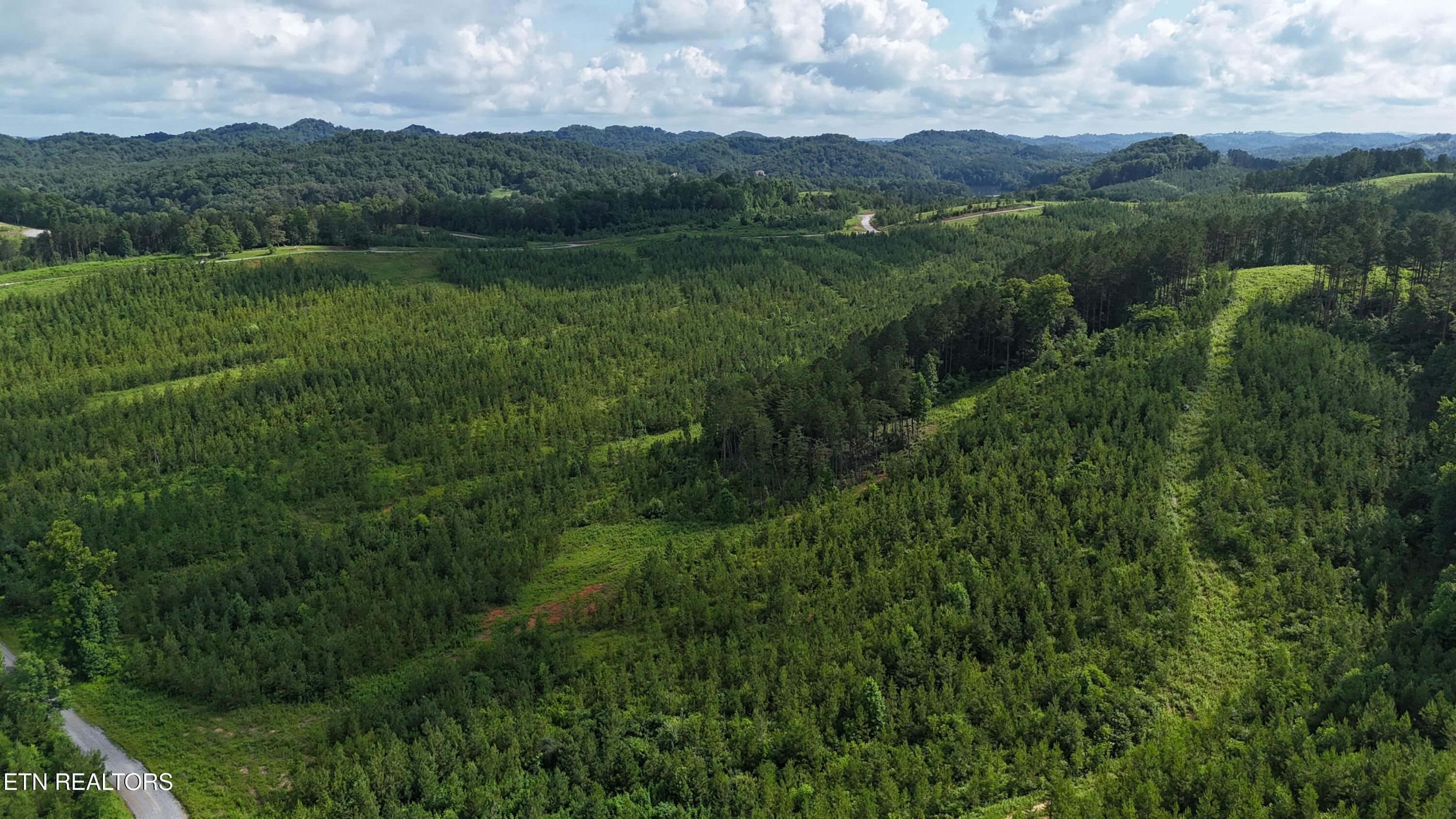 Lot 41 Three Point Road Vonore, TN 37885 - Photo 7 of 35 dji_fly_20250620_100618_0608_17504456693