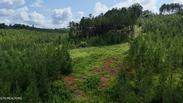 $103,000 | Lot 41 Three Point Road, Vonore, TN 37885