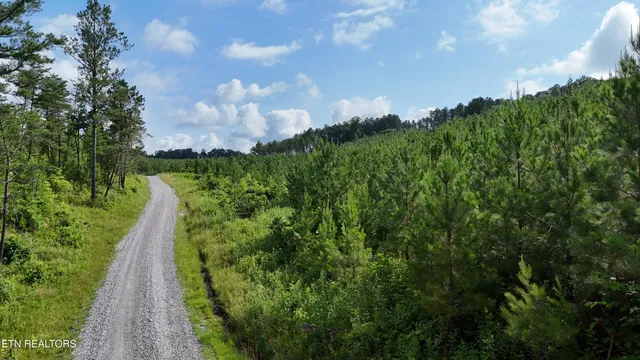 $103,000 | Lot 41 Three Point Road, Vonore, TN 37885