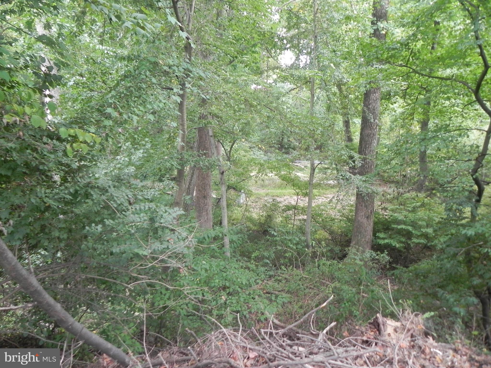 4006 Highview Drive Silver Spring, MD 20906 - Photo 25 of 30 View