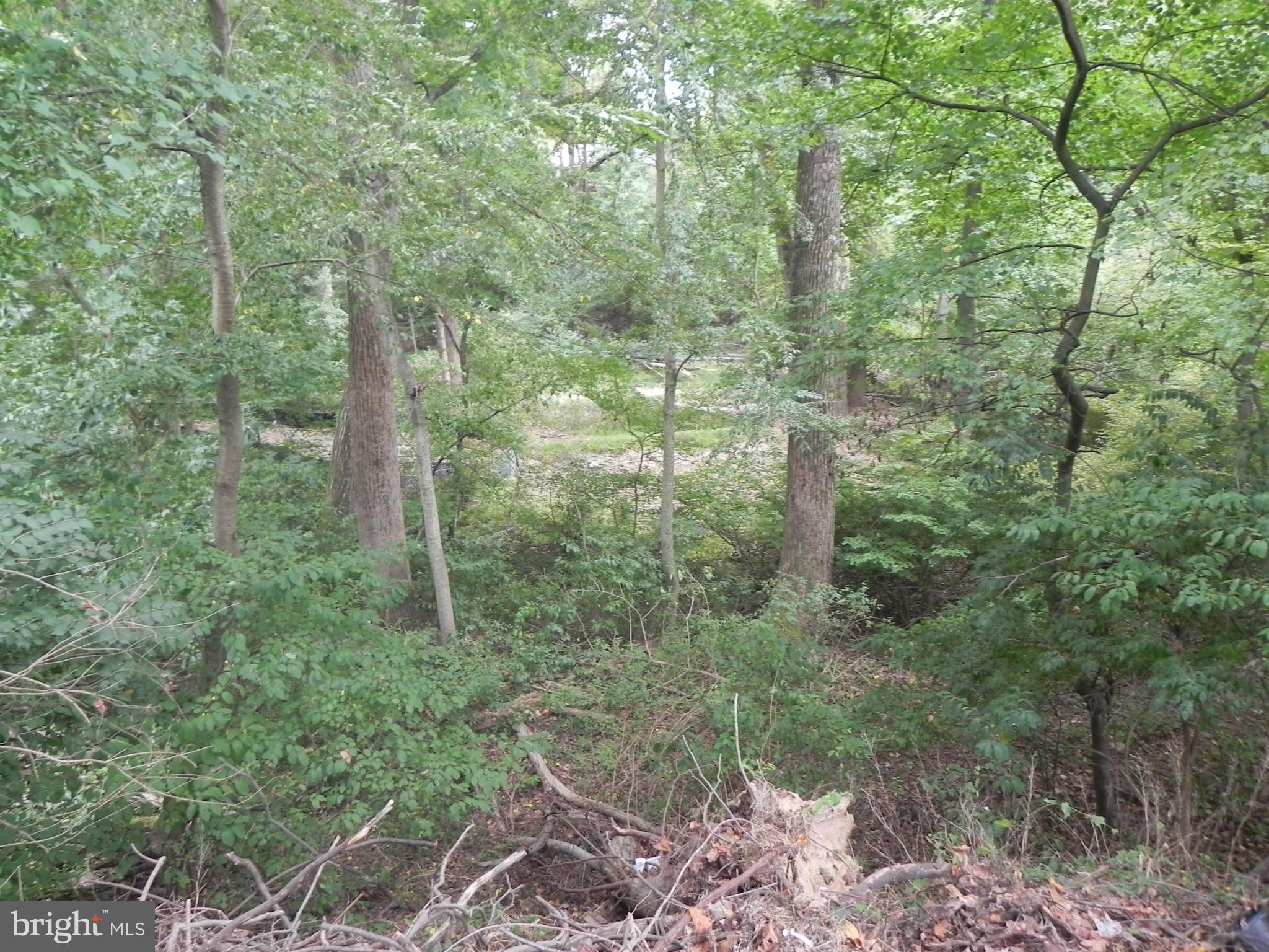 4006 Highview Drive Silver Spring, MD 20906 - Photo 27 of 30 View