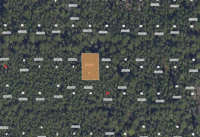 $8,499 | 317 Tropical Drive, Georgetown, FL 32139