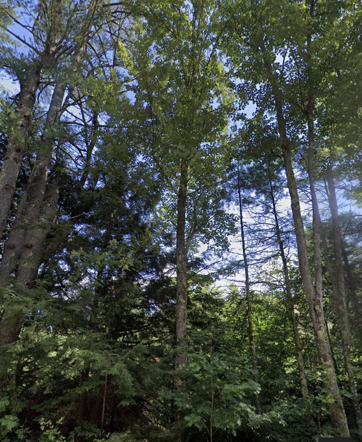 316 Deerfield Road Allenstown, NH 03275 - Photo 1 of 1 Gallery Image 1