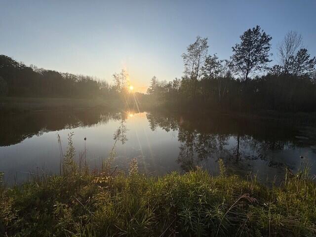 3775 16 Mile Road Marion, MI 49665 - Photo 32 of 55 wpp20