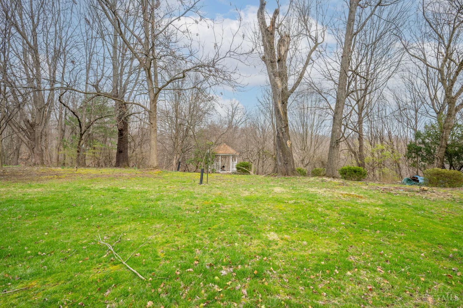 10810 Deerfield Road Montgomery, OH 45242 - Photo 4 of 25 Spacious, private yard.