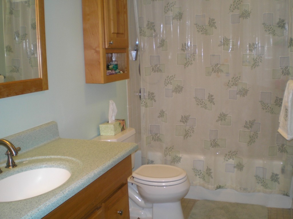 30 Parkman Street, Unit 3 Brookline, MA 02446 - Photo 5 of 6