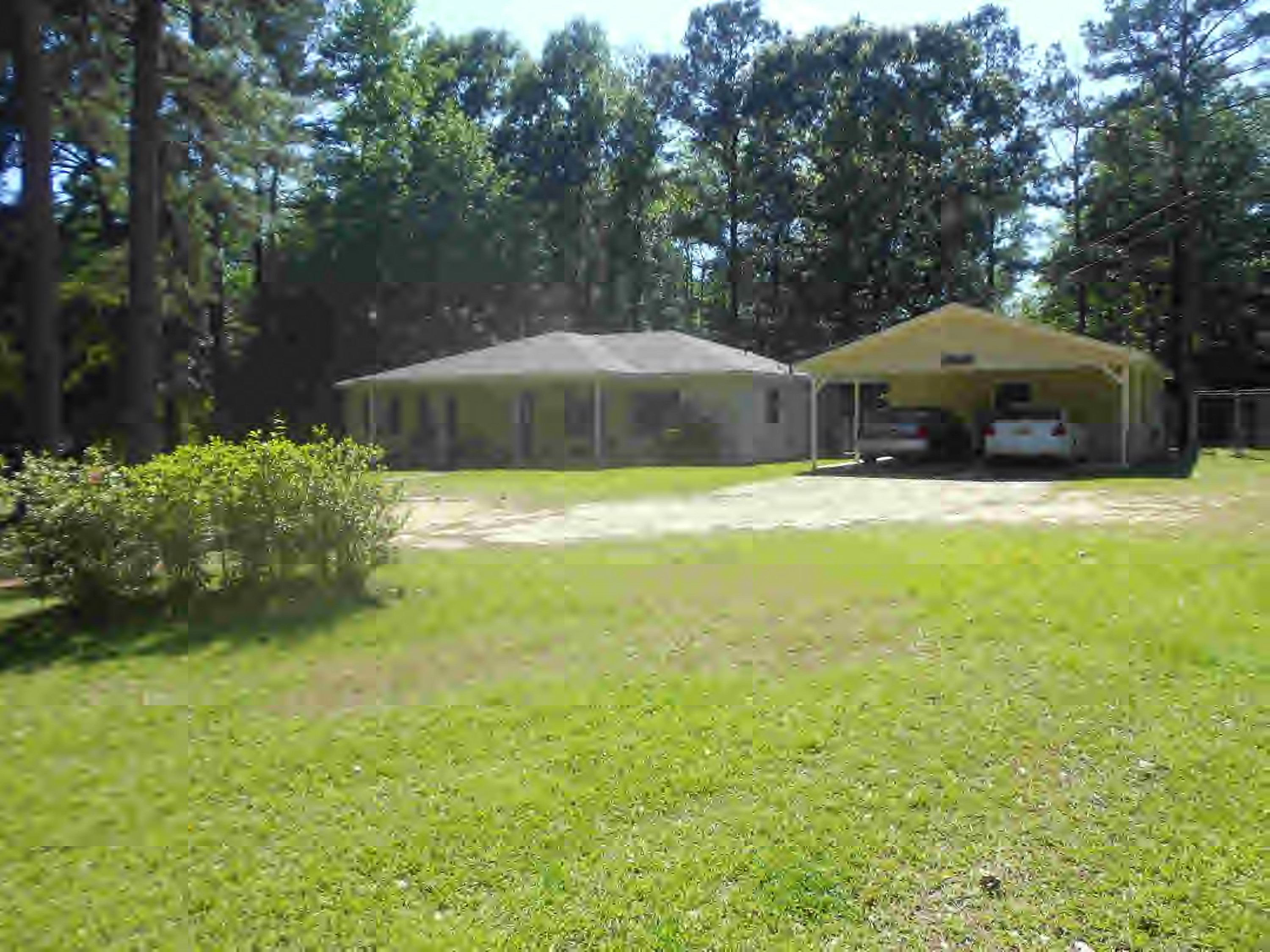 Main View