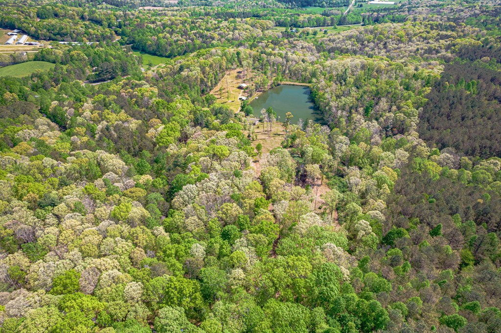 2308 Rackley Road Ellijay, GA 30536 - Photo 3 of 74 Gallery Image 3