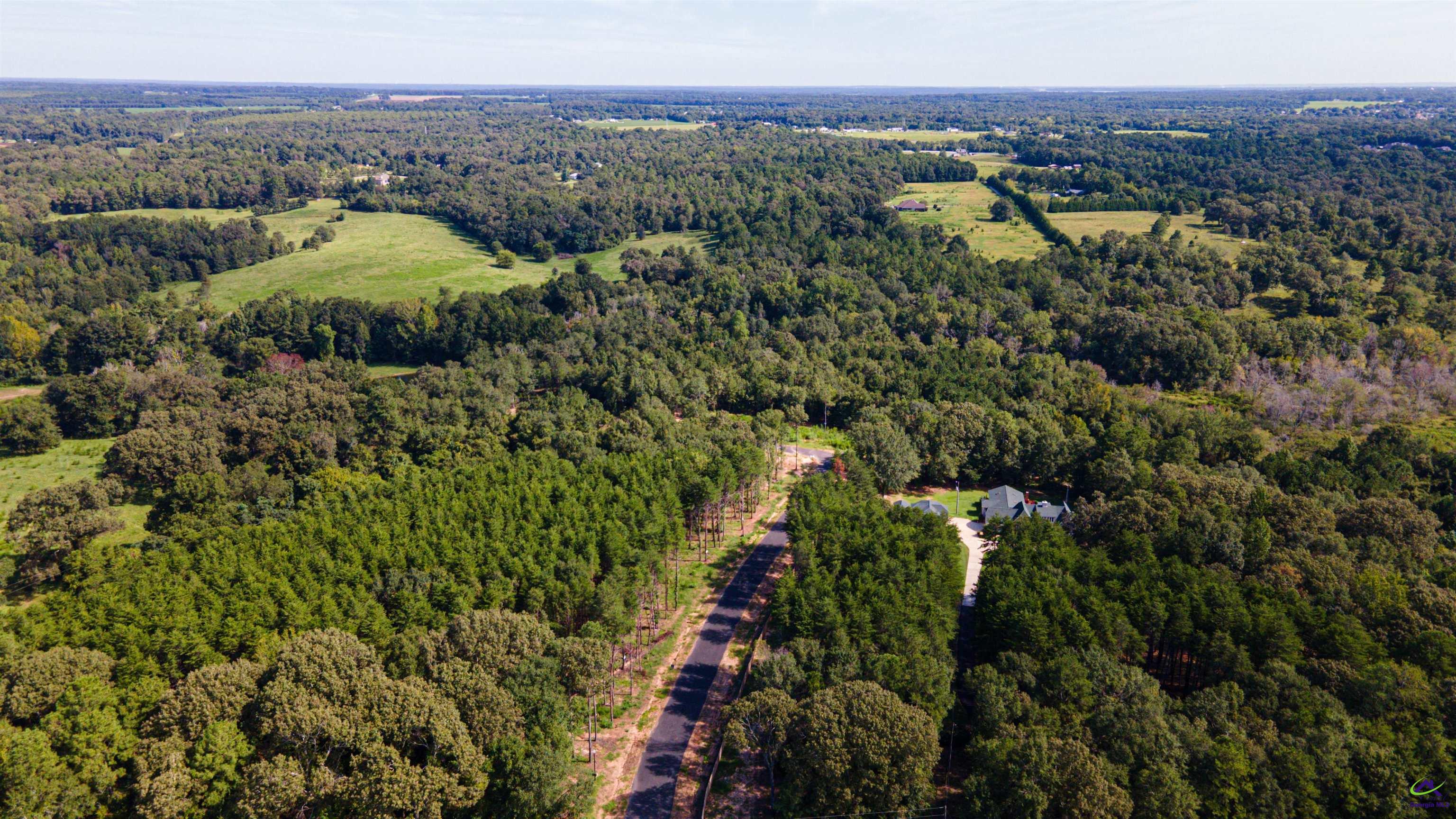 Lot 1 Trojan Way Barnesville, GA 30204 - Photo 6 of 11