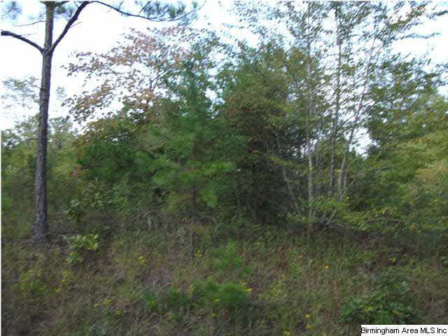 Hamilton Road, Unit 5 Pell City, AL 35128 - Photo 2 of 4 Gallery Image 2
