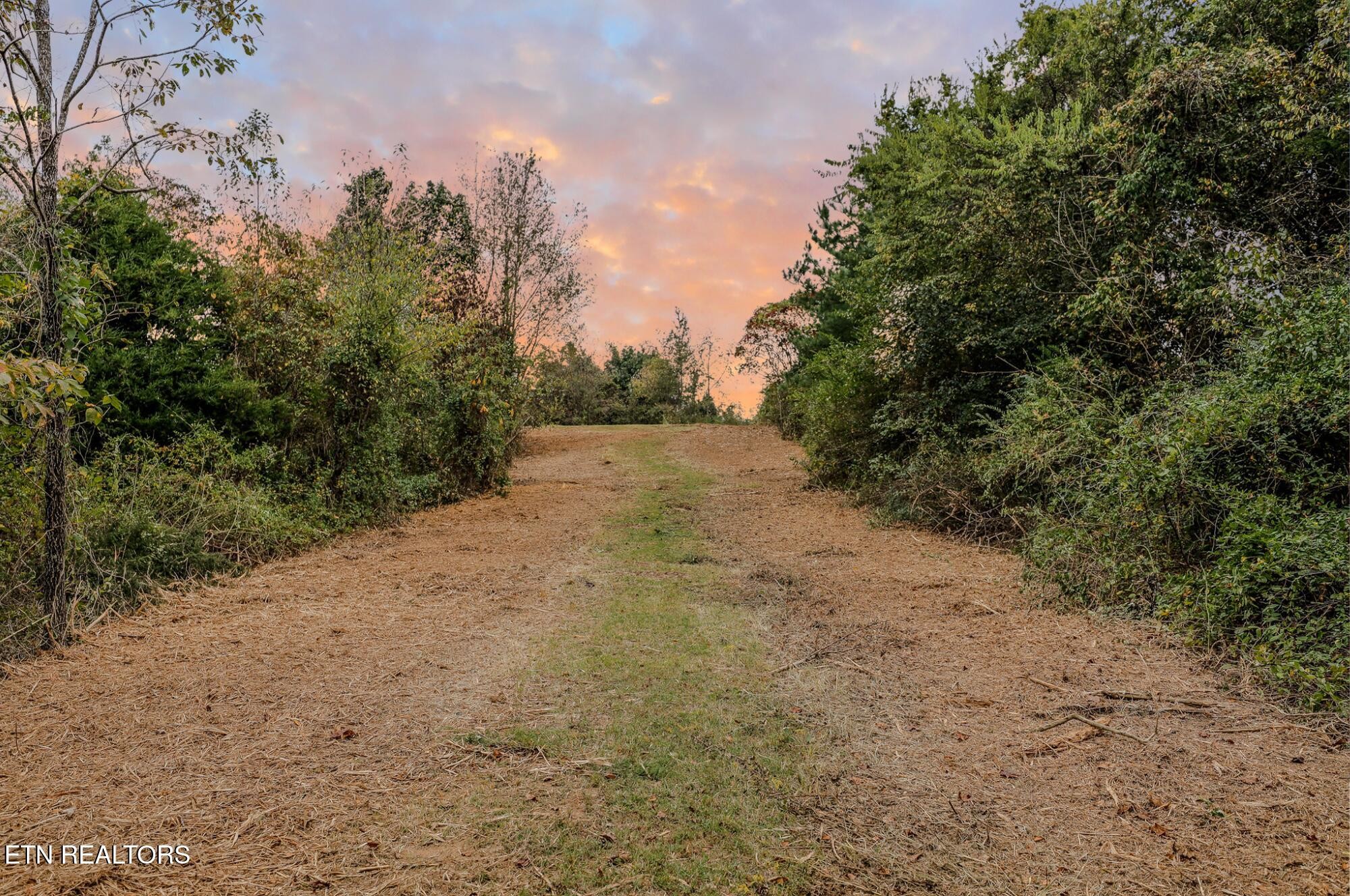 4732 Salem Road Greenback, TN 37742 - Photo 8 of 20 Gallery Image 8