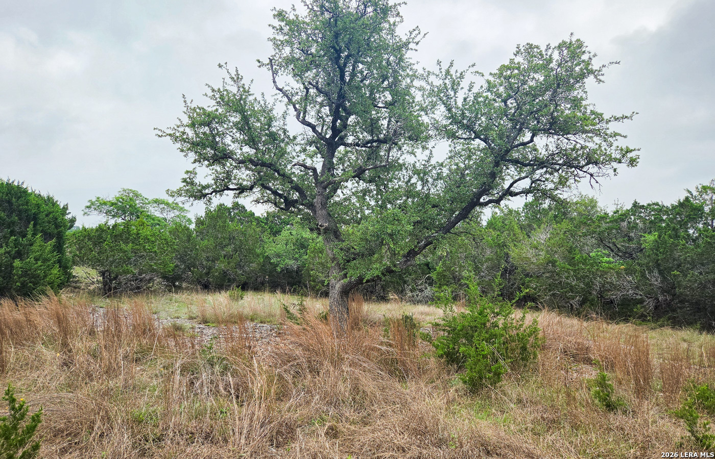 Tbd Falling Oak Blanco, TX 78606 - Photo 20 of 21