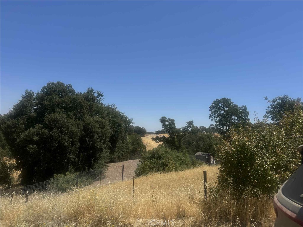 6915 Remunda Road Corning, CA 96021 - Photo 4 of 12 a view of a lake and a yard