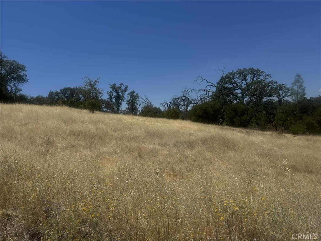 6915 Remunda Road Corning, CA 96021 - Photo 5 of 12