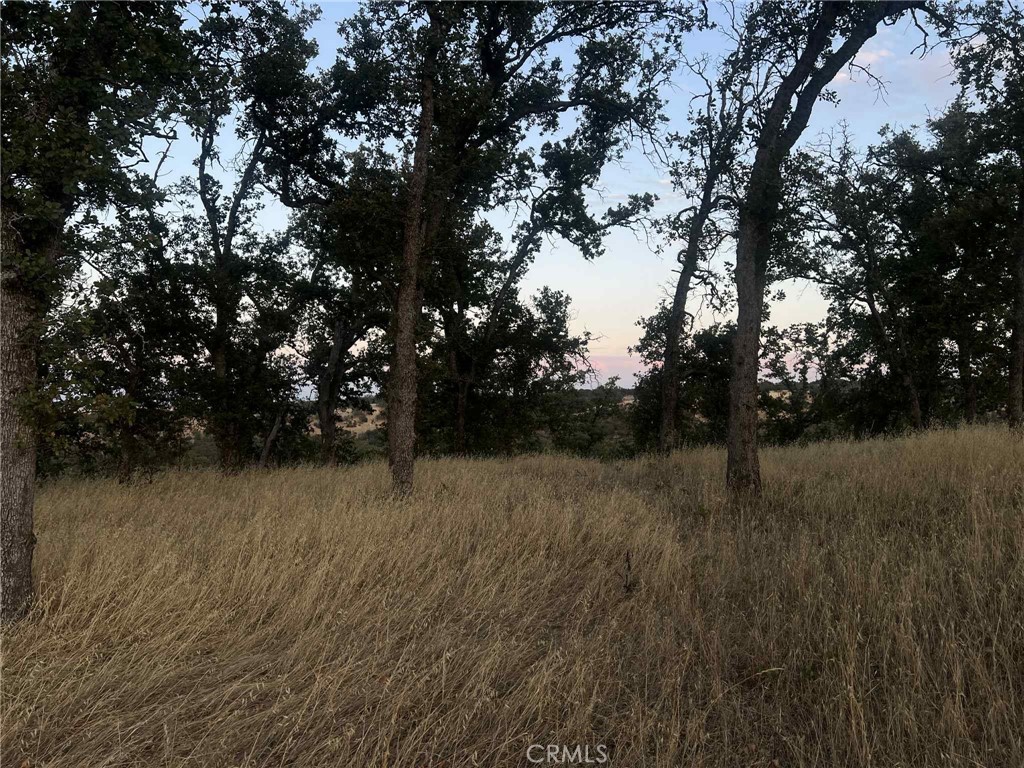 6915 Remunda Road Corning, CA 96021 - Photo 6 of 12 a view of a lake