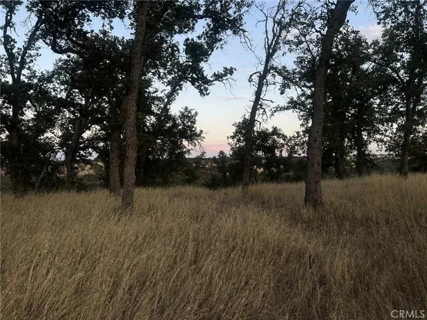 a view of outdoor space with trees
