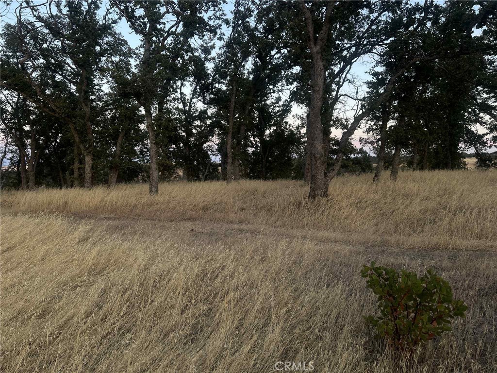 6915 Remunda Road Corning, CA 96021 - Photo 8 of 12 a view of outdoor space with trees