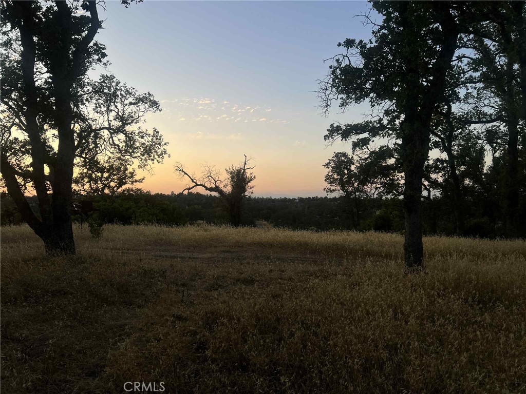 6915 Remunda Road Corning, CA 96021 - Photo 9 of 12 a view of outdoor space and yard