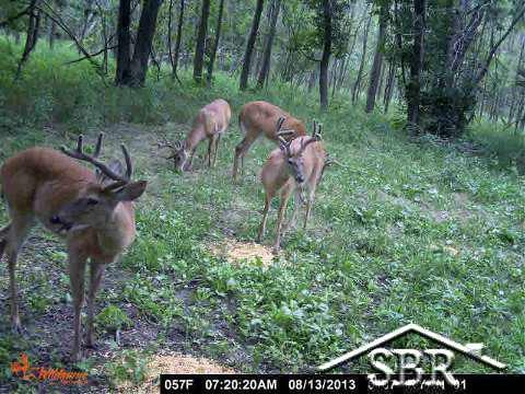 6200 Gratiot Road Saginaw, MI 48638 - Photo 18 of 22 20367839-17.JPG