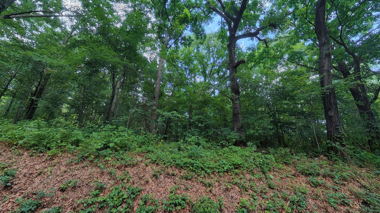 457 Pitcher Road South Morgantown, KY 42261 - Photo 6 of 20 Gallery Image 6