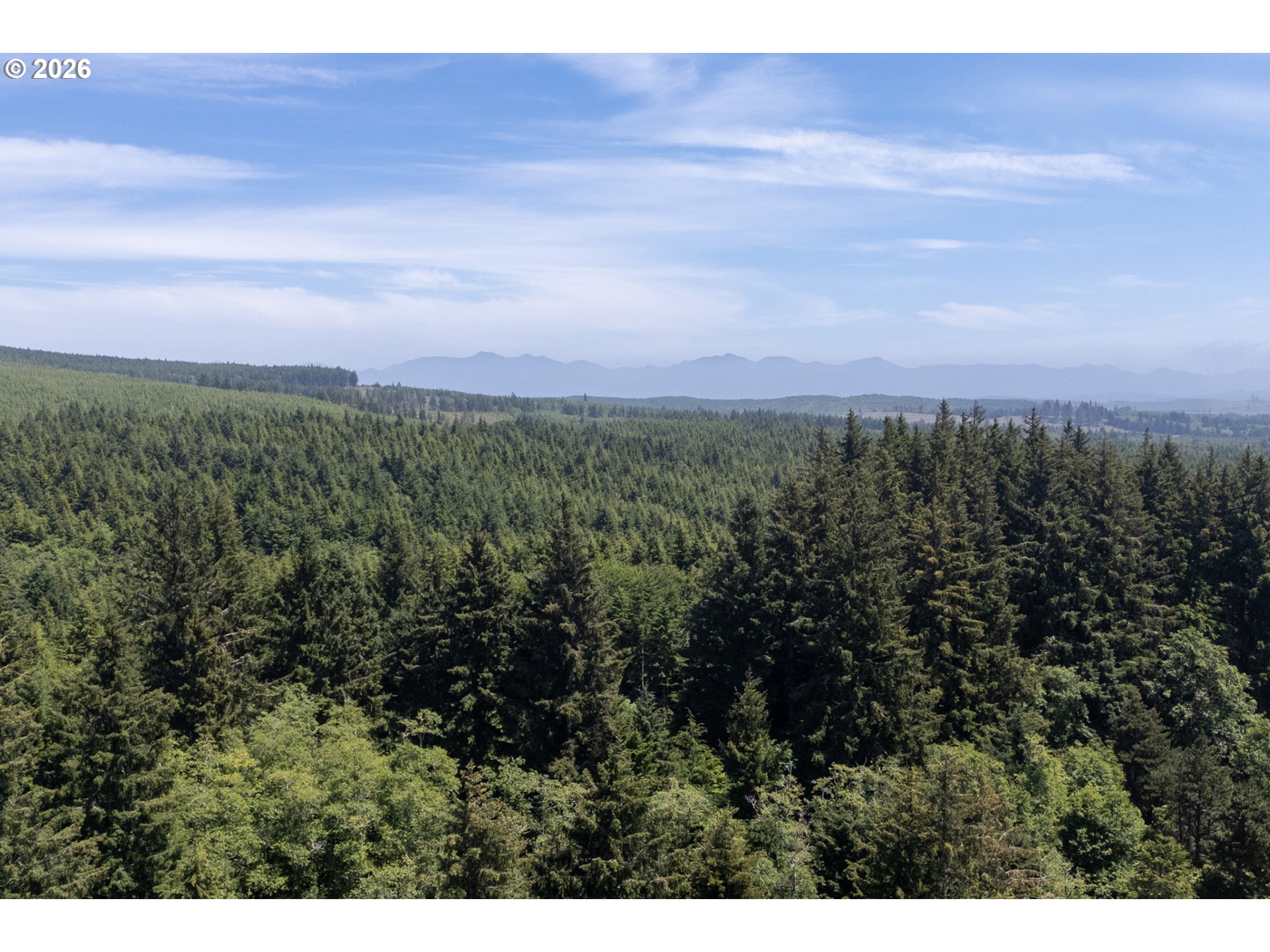 Cougar Ridge, Unit 200 Tillamook, OR 97141 - Photo 10 of 12