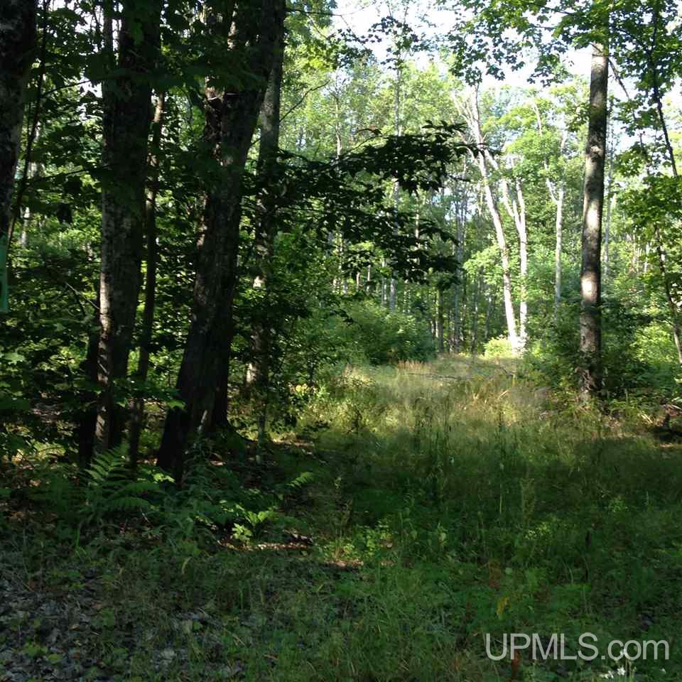 N9703 South Ross Lake Road Shingleton, MI 49884 - Photo 1 of 8
