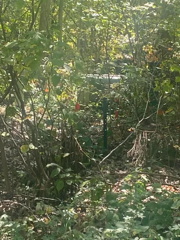 $13,000 | 7813-7831 Wilderness Drive, Weidman, MI 48893