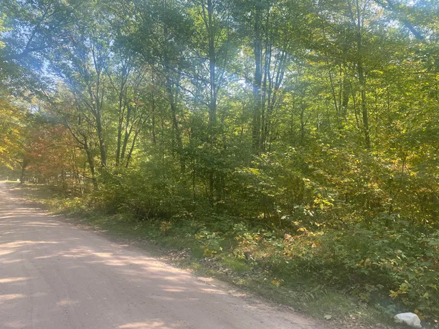 $13,000 | 7813-7831 Wilderness Drive, Weidman, MI 48893