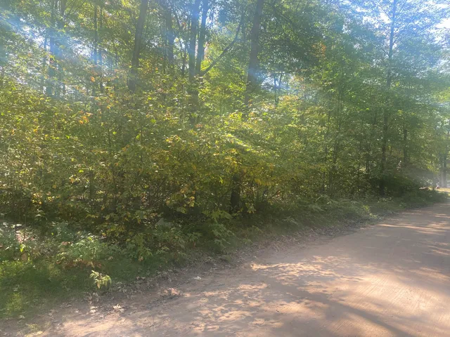 $13,000 | 7813-7831 Wilderness Drive, Weidman, MI 48893